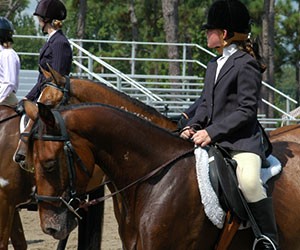 Custom Equestrian Clothing